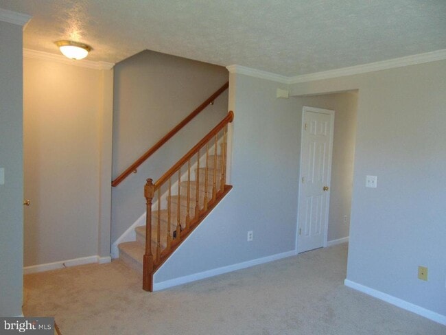 Photo - 10902 Coreys Way