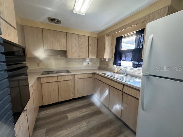 Photo - 803 Tangerine St