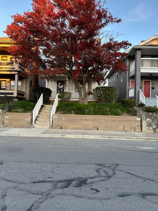 Photo - 784 Carpenter St