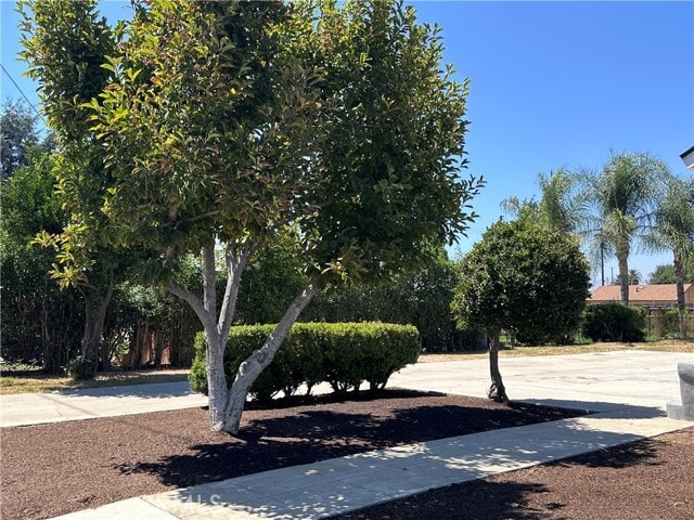 Photo - 565 E 12th St