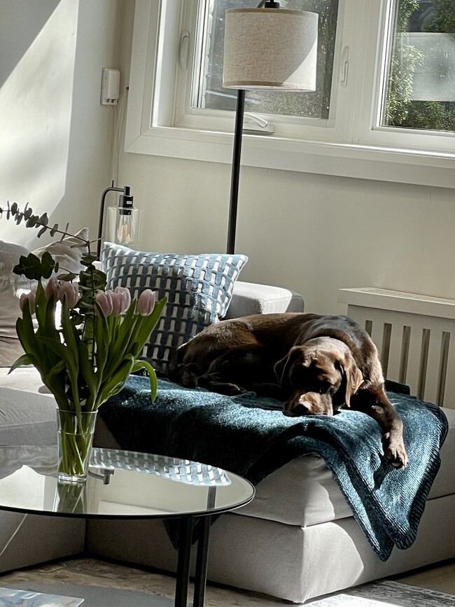 Building Photo - 218 Wheeler Av Unit 1