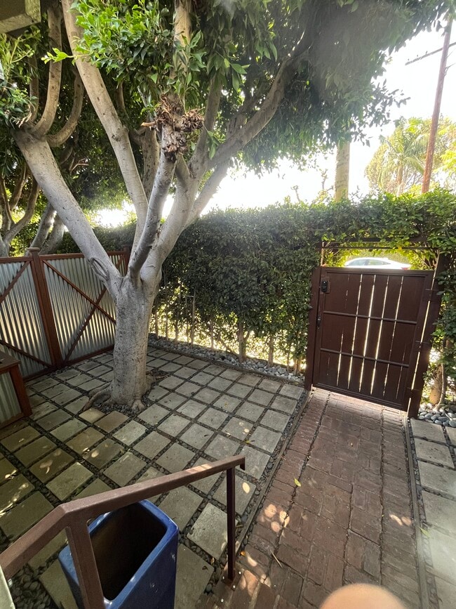 Front yard