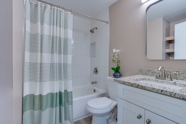 8131 Pinelake Ct Unit Level 3 - Room 2