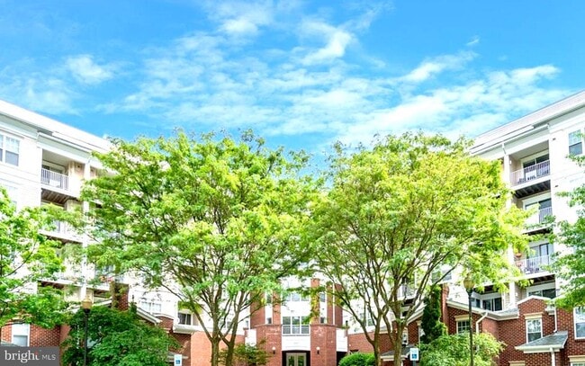 Building Photo - 1645 International Dr Unit 126 Rental