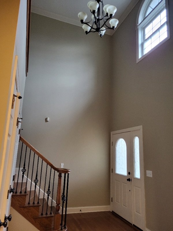 Photo - 113 Legacy Dr