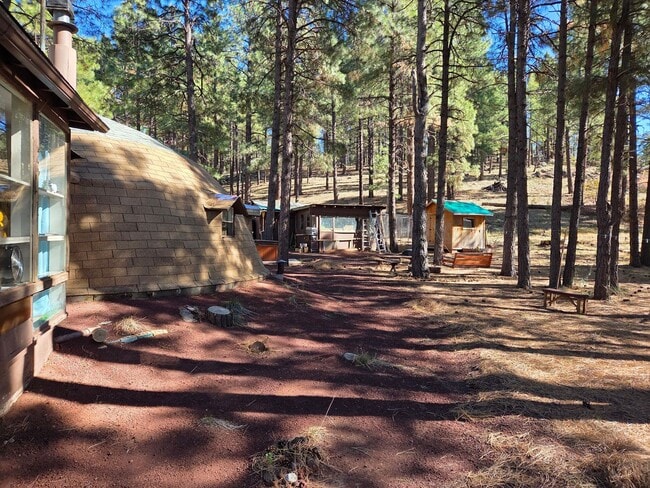 Photo - Unique Dome-Shaped Studio Surrounded by Ponderosa Pines