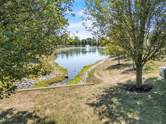 Photo - 5194 Dry Creek Dr