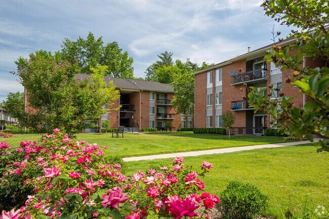 Building Photo - The Vista Rental