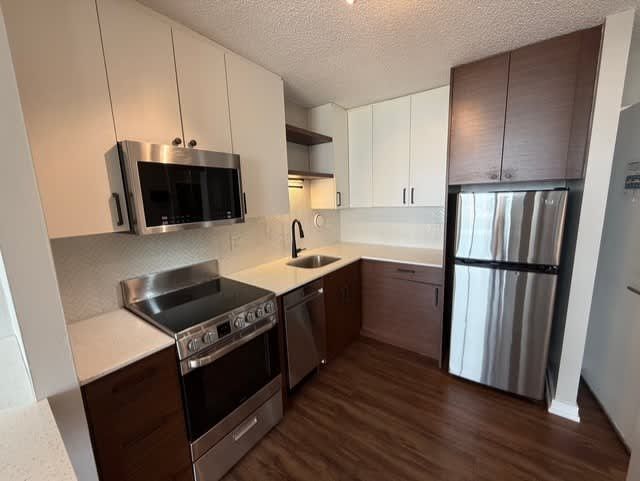 1212 S Michigan Ave Unidad 1205