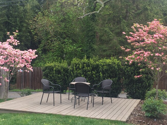 Photo - Spring Valley Apartments