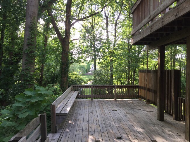 Photo - 13814 Grey Colt Dr