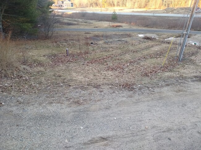 Outside: Raspberries, Fruit Trees, Small Garden - 1 Chloe Dr