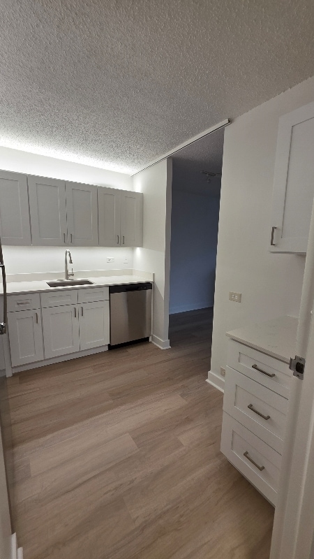 Photo - 253 E Wacker Dr