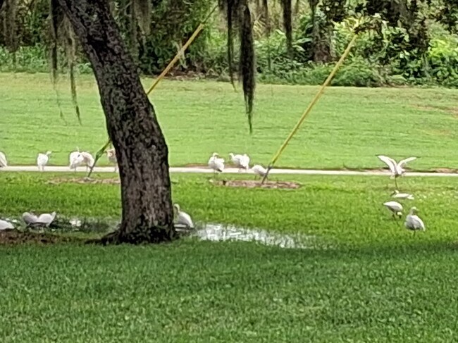 Photo - 7 Vista Gardens Trl Unidad 105