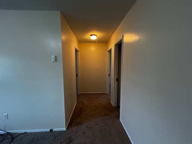 3600 Cannan Forest Dr Unidad 3600-C