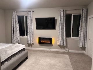 Fire place and new Smart TV - 880 Congaree Ln