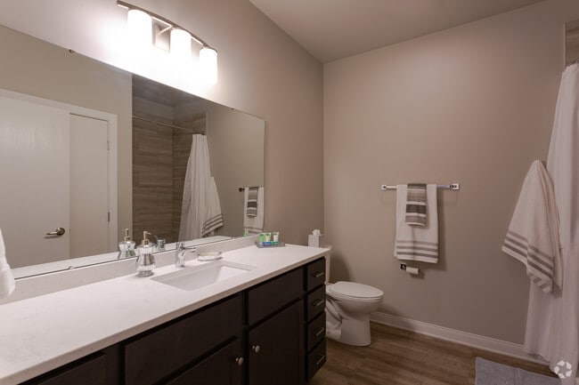 1HAB, 1BA - G - Lamphouse Apartments