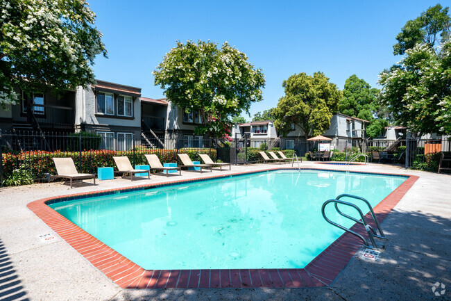 Pool - Las Ventanas Apartments
