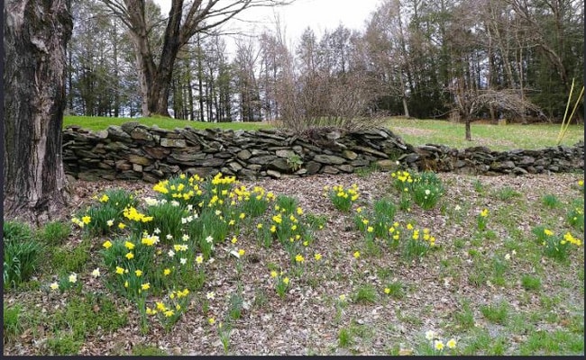 Photo - 298 Sweet Pond Rd