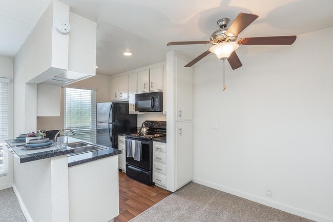 Elan Pacific Lofts