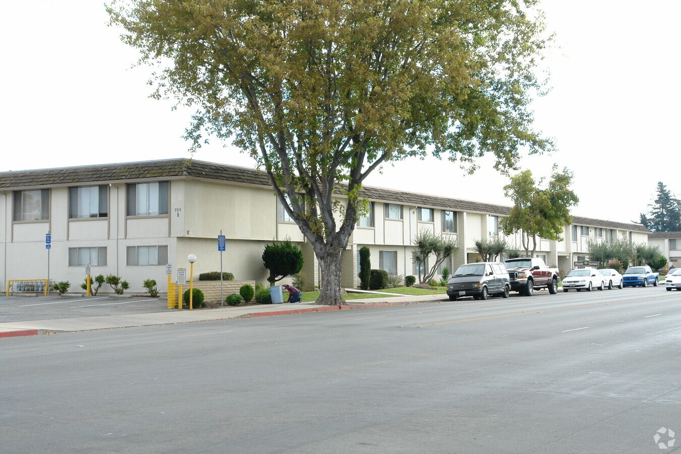 Maple Terrace Apartments - Maple Terrace Apartments