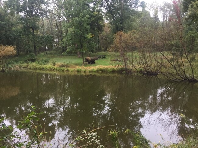 Pond Picnic Area - 1131 County Road 601