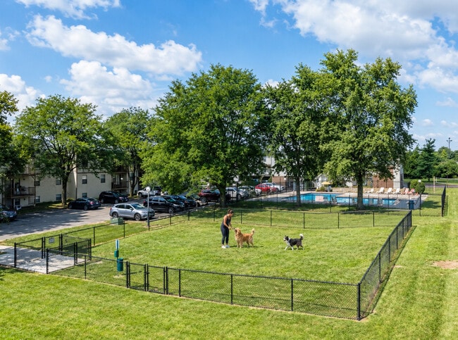 Dog park