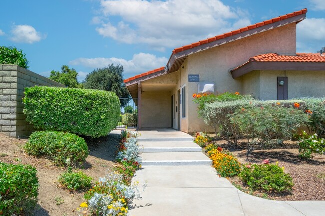 Vista View Apartments - Vista View Apartments
