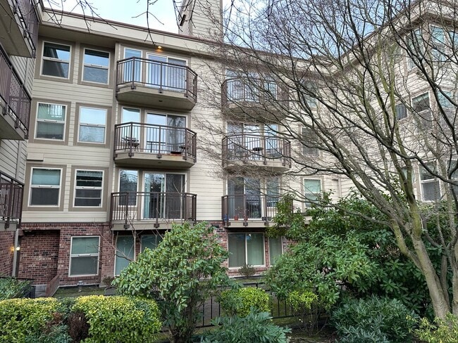 Quiet Updated South Queen 1bd 1bath Condo ... - Quiet Updated South Queen 1bd 1bath Condo ...