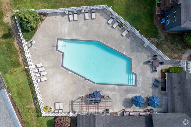 Pool at Vibe