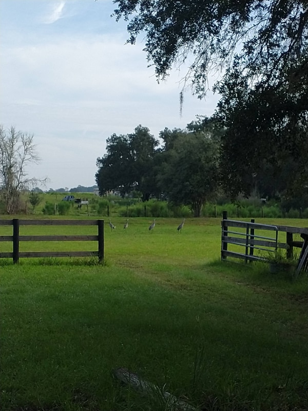 Photo - 7090 SE 181 Ct