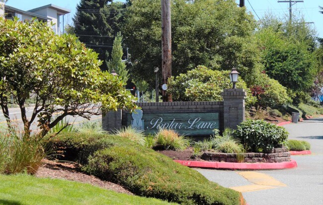 Photo - Poplar Lane Apartments