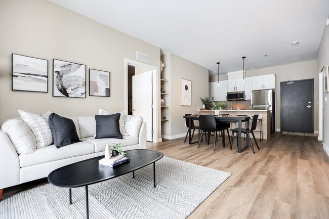 Photo - Sol at Aurora