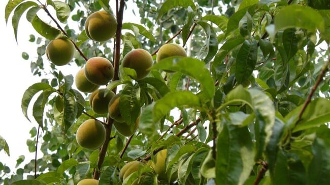 Photo - 2867 NE Sedalia Loop