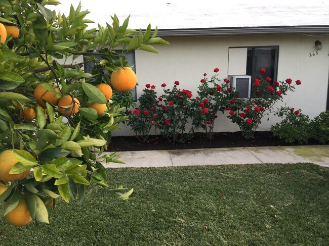 Photo - 261 N Florence St Unit 261 n Florence St