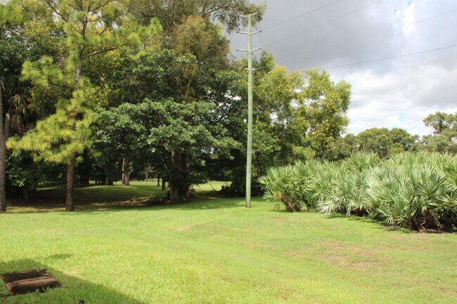 Photo - 4327 Palm Forest Dr N