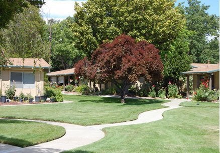 Photo - 251 Kottinger Dr Unit #251