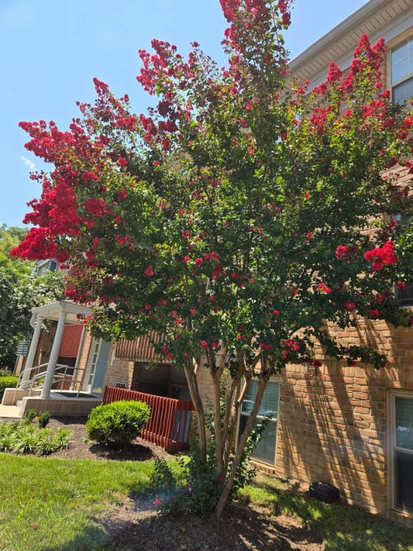 Photo - 6 Banyan Wood Ct Unidad 301