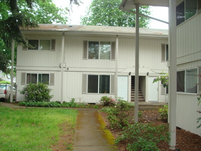 Tall Firs