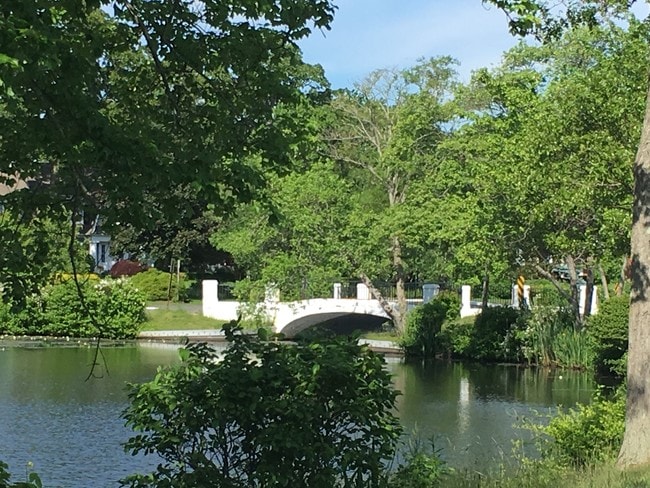Nearby Brightwaters Lakes Bridges