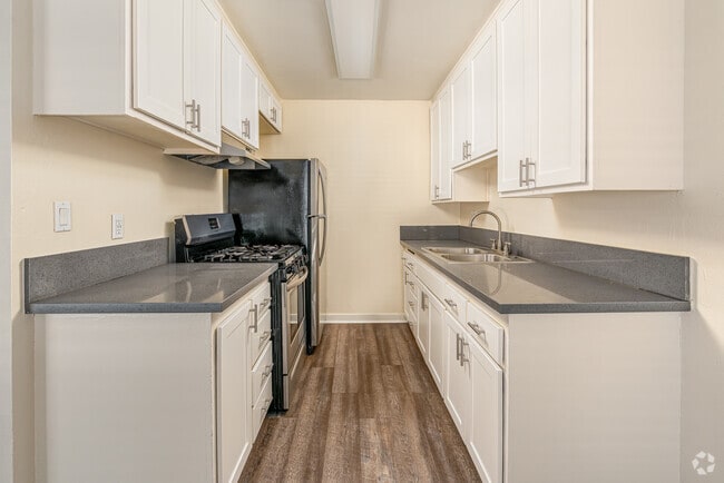 2BR, 1BA - 950SF - Kitchen