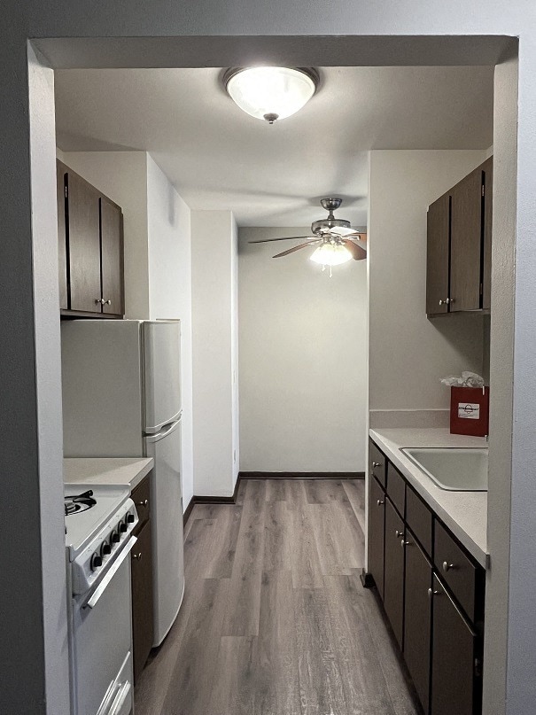 Photo - Birch Tree Court