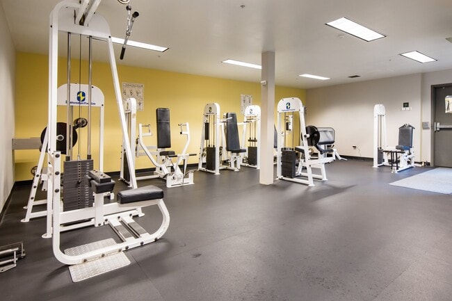 Gimnasio totalmente equipado
