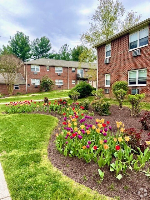 Building Photo - Pine Hill Apartments