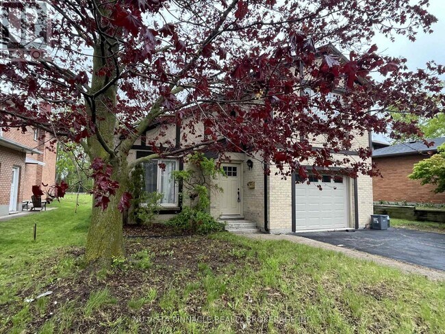 Photo - 101 Castlegrove Blvd