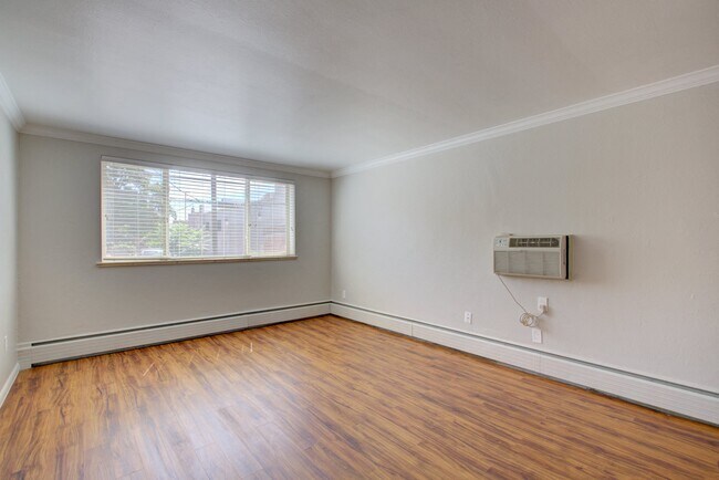 1536 Vine