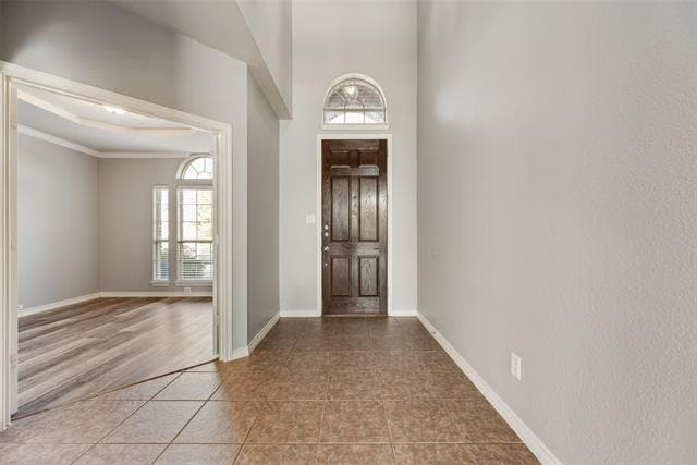 213 Palomino Ct