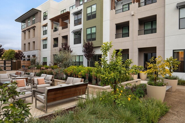 Photo - ARLO Mountain View