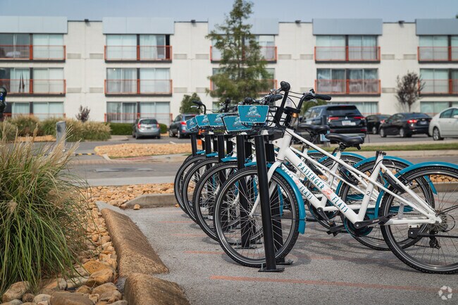 Bike Rental