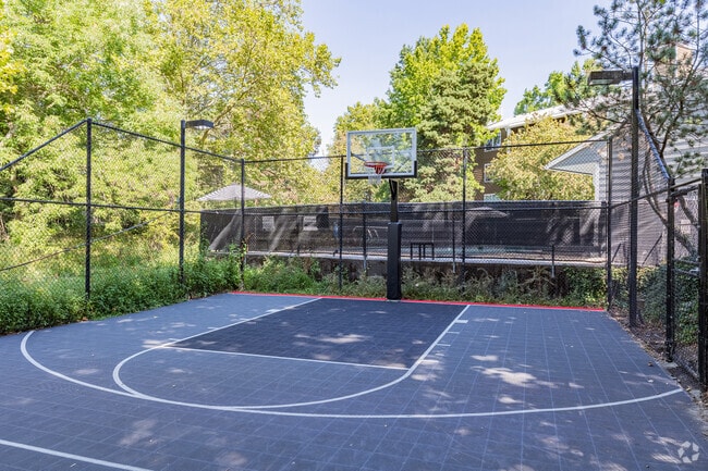Basketball Court - Oak & Iron Flats by Trion Living